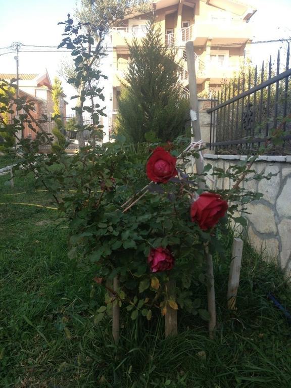 Apartments Svetlana Utjeha Εξωτερικό φωτογραφία