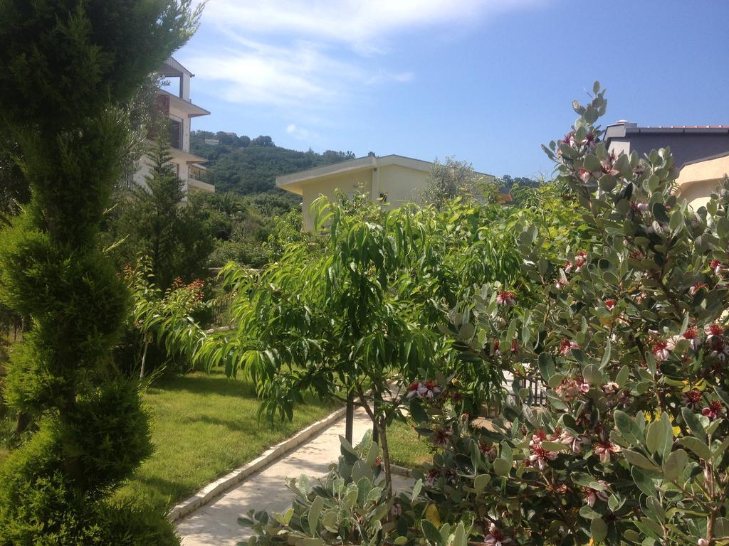 Apartments Svetlana Utjeha Εξωτερικό φωτογραφία